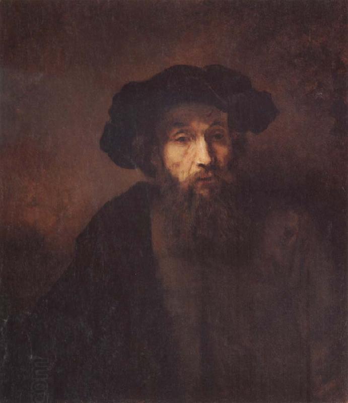 REMBRANDT Harmenszoon van Rijn A Bearded Man in a Cap oil painting picture